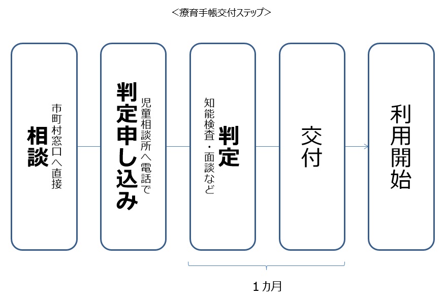 療育 手帳 申請