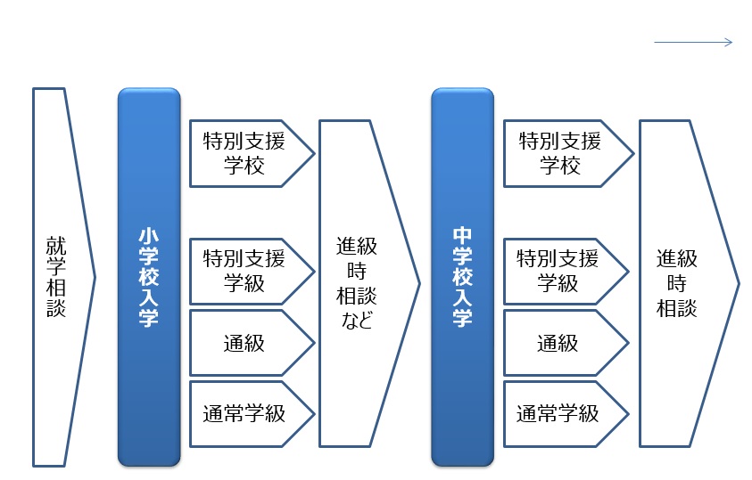 発達障害のある方の小学校就学 中学校進学までを支えるしくみ 特別支援教育という制度 全国地域生活支援機構