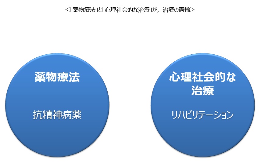 統合失調症とは? 広い意味での精神障害 全国地域生活支援機構 統合失調症とは? 広い意味での精神障害 全国地域生活支援機構
